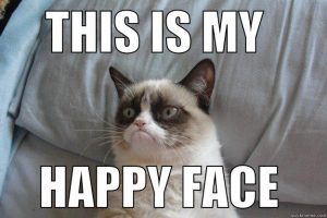 Is this cat happy? Grumpy cat
