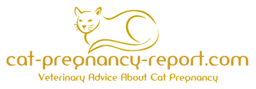 cat-pregnancy-report.com