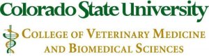 Colorado State University