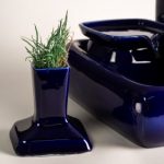 US Cat Grass Cup Blue
